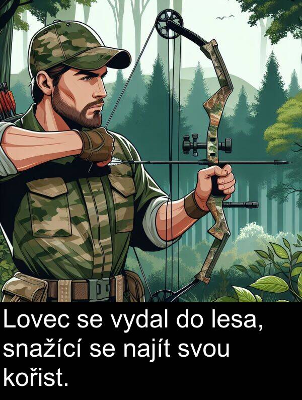 snažící: Lovec se vydal do lesa, snažící se najít svou kořist.