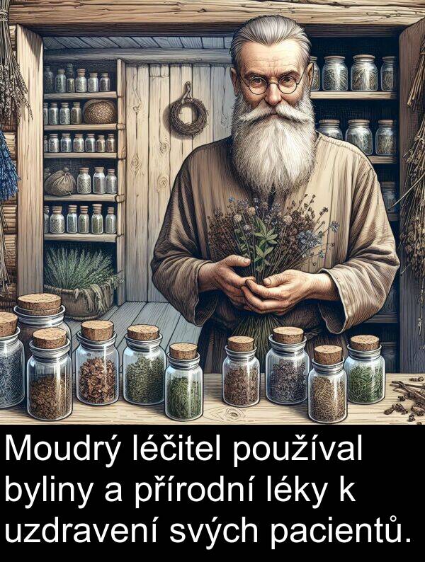 léčitel: Moudrý léčitel používal byliny a přírodní léky k uzdravení svých pacientů.