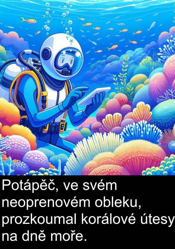 svém: Potápěč, ve svém neoprenovém obleku, prozkoumal korálové útesy na dně moře.