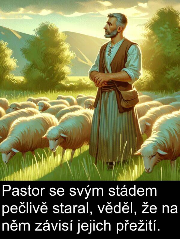 svým: Pastor se svým stádem pečlivě staral, věděl, že na něm závisí jejich přežití.