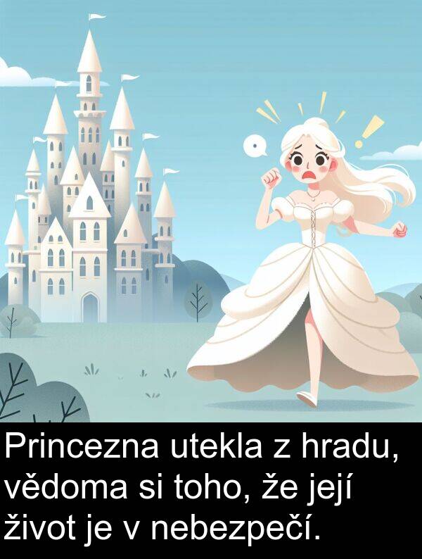 život: Princezna utekla z hradu, vědoma si toho, že její život je v nebezpečí.