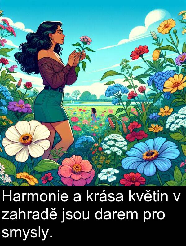 zahradě: Harmonie a krása květin v zahradě jsou darem pro smysly.