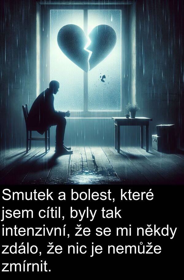 cítil: Smutek a bolest, které jsem cítil, byly tak intenzivní, že se mi někdy zdálo, že nic je nemůže zmírnit.