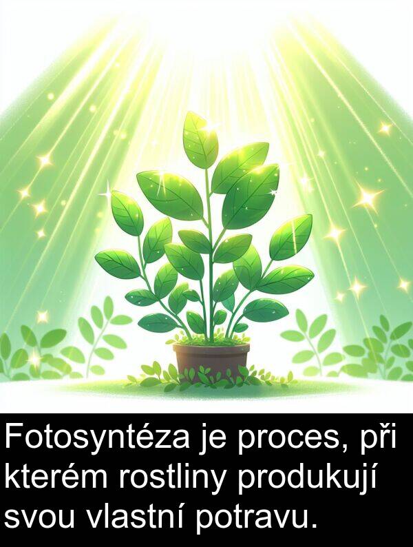 potravu: Fotosyntéza je proces, při kterém rostliny produkují svou vlastní potravu.