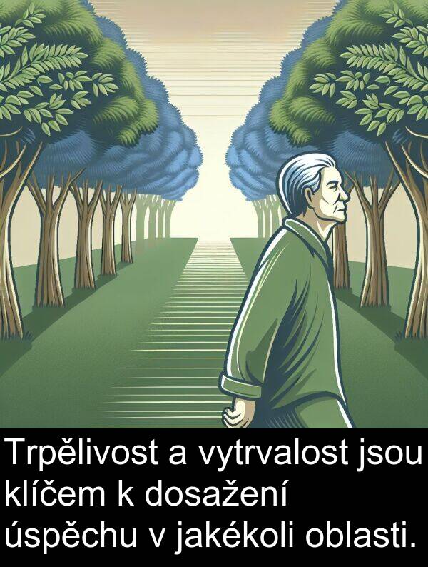 jakékoli: Trpělivost a vytrvalost jsou klíčem k dosažení úspěchu v jakékoli oblasti.