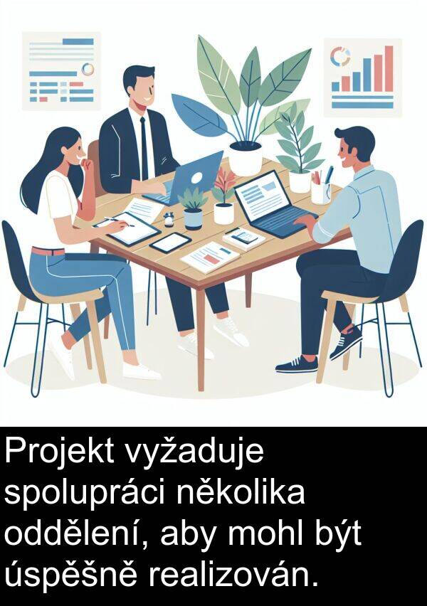 realizován: Projekt vyžaduje spolupráci několika oddělení, aby mohl být úspěšně realizován.