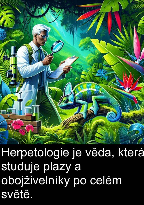 celém: Herpetologie je věda, která studuje plazy a obojživelníky po celém světě.