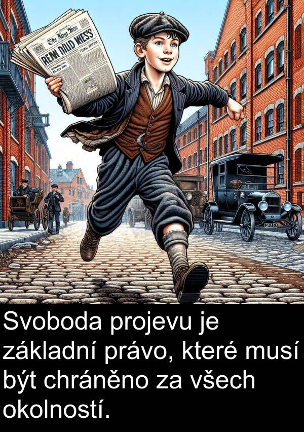 chráněno: Svoboda projevu je základní právo, které musí být chráněno za všech okolností.