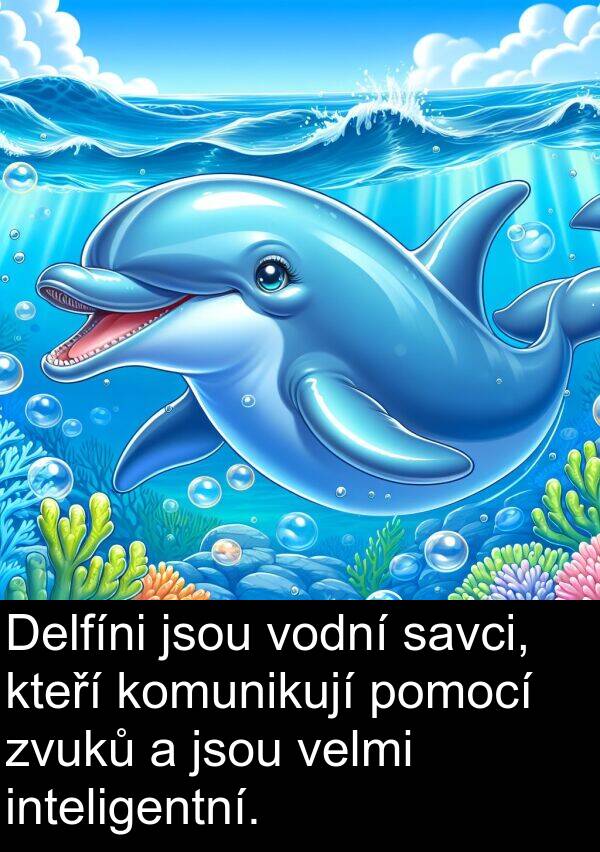 savci: Delfíni jsou vodní savci, kteří komunikují pomocí zvuků a jsou velmi inteligentní.