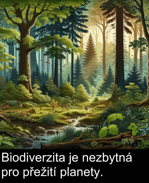 pro: Biodiverzita je nezbytná pro přežití planety.