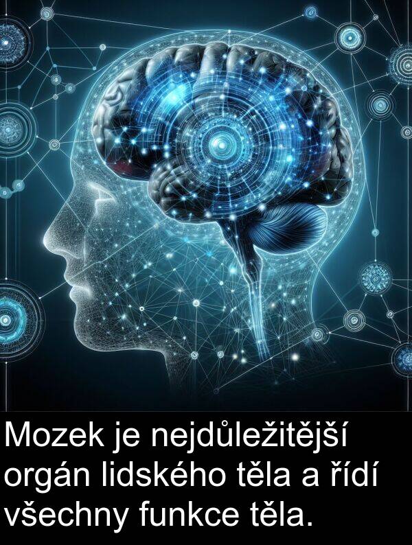 těla: Mozek je nejdůležitější orgán lidského těla a řídí všechny funkce těla.