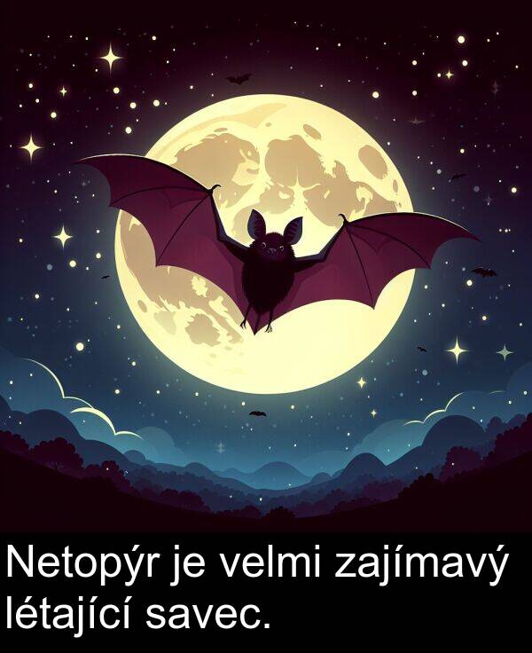 savec: Netopýr je velmi zajímavý létající savec.