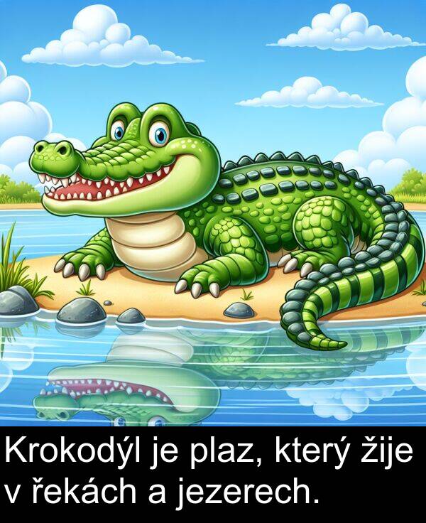 řekách: Krokodýl je plaz, který žije v řekách a jezerech.