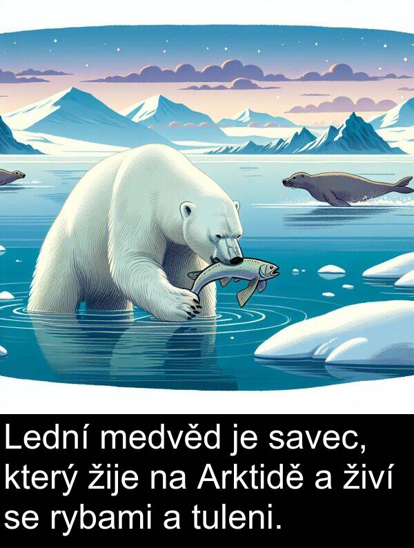 živí: Lední medvěd je savec, který žije na Arktidě a živí se rybami a tuleni.