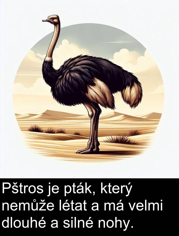 silné: Pštros je pták, který nemůže létat a má velmi dlouhé a silné nohy.