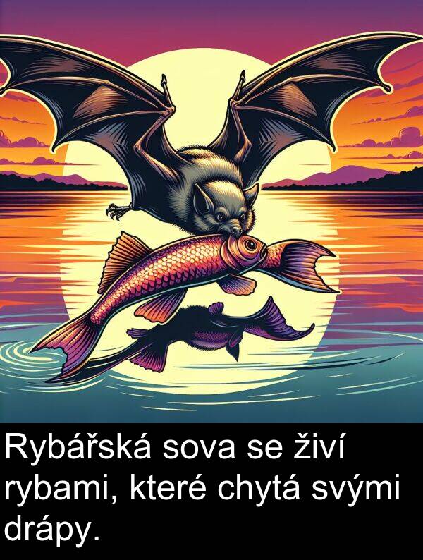 živí: Rybářská sova se živí rybami, které chytá svými drápy.