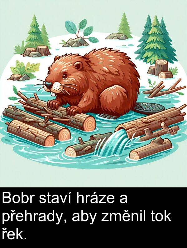 řek: Bobr staví hráze a přehrady, aby změnil tok řek.