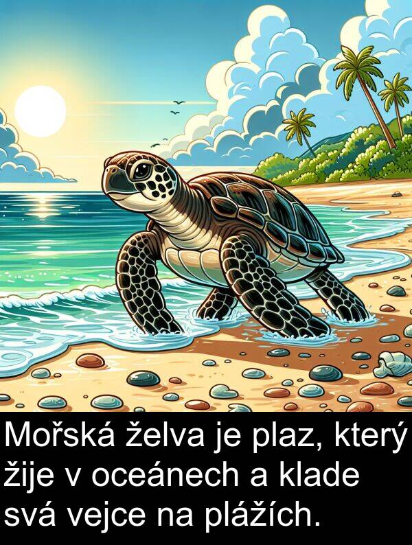 želva: Mořská želva je plaz, který žije v oceánech a klade svá vejce na plážích.