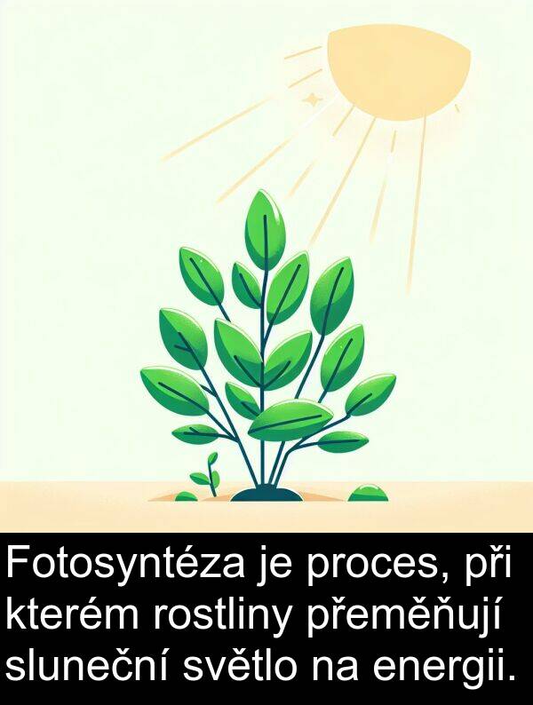 energii: Fotosyntéza je proces, při kterém rostliny přeměňují sluneční světlo na energii.