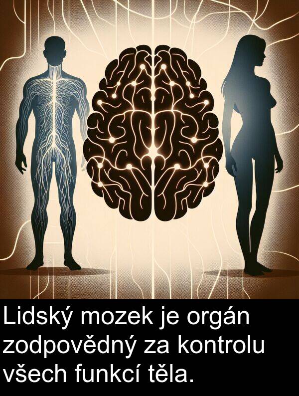 těla: Lidský mozek je orgán zodpovědný za kontrolu všech funkcí těla.