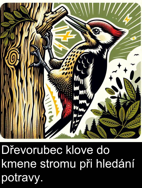 stromu: Dřevorubec klove do kmene stromu při hledání potravy.