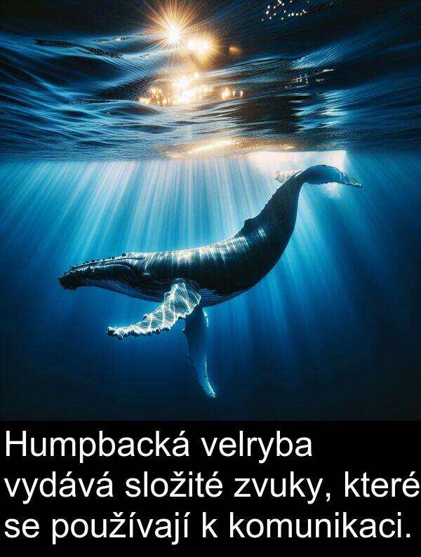 používají: Humpbacká velryba vydává složité zvuky, které se používají k komunikaci.