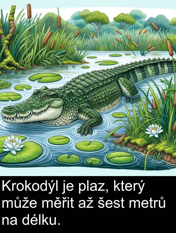 šest: Krokodýl je plaz, který může měřit až šest metrů na délku.