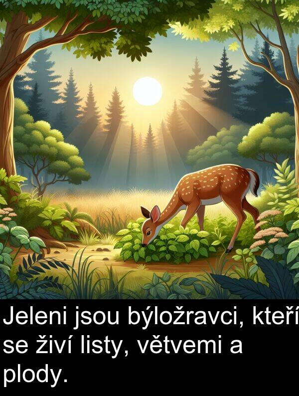 živí: Jeleni jsou býložravci, kteří se živí listy, větvemi a plody.