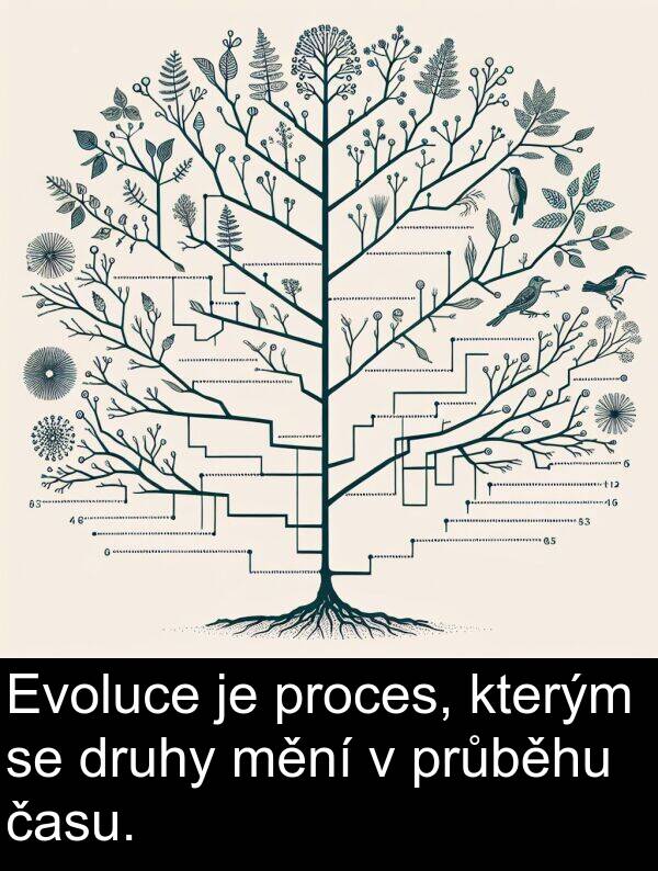 času: Evoluce je proces, kterým se druhy mění v průběhu času.