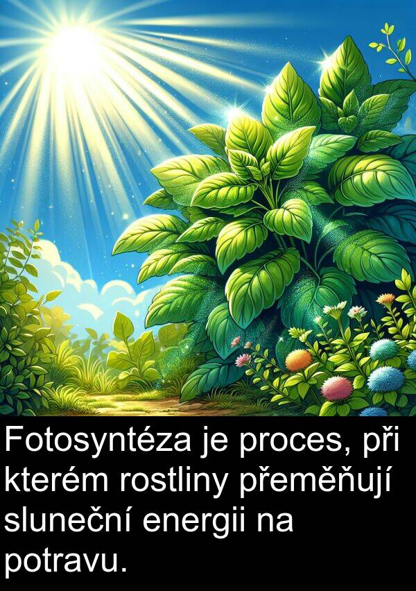 energii: Fotosyntéza je proces, při kterém rostliny přeměňují sluneční energii na potravu.