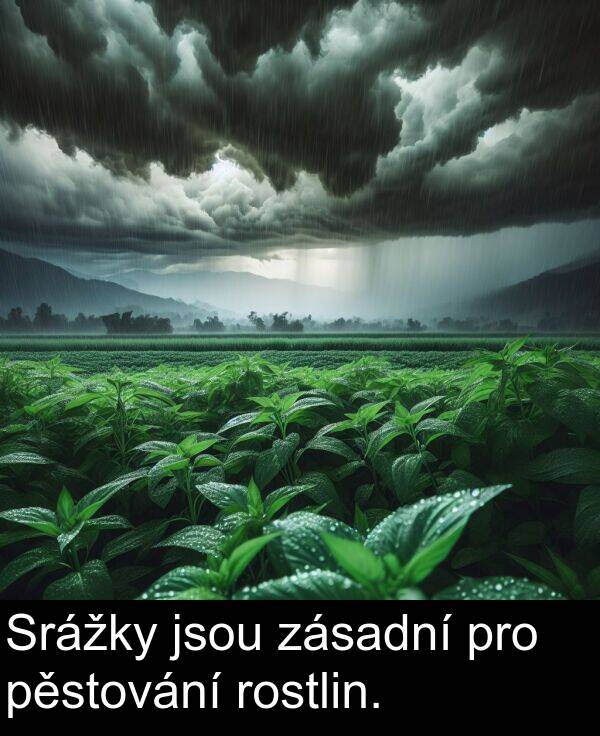 pro: Srážky jsou zásadní pro pěstování rostlin.
