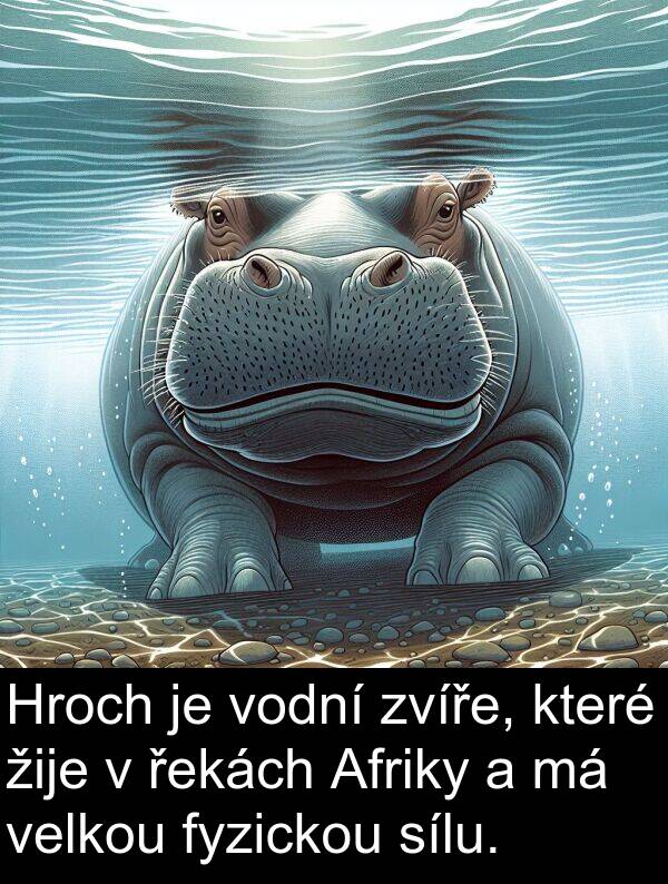 řekách: Hroch je vodní zvíře, které žije v řekách Afriky a má velkou fyzickou sílu.