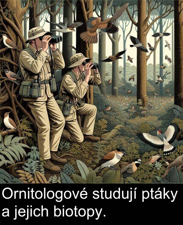 studují: Ornitologové studují ptáky a jejich biotopy.