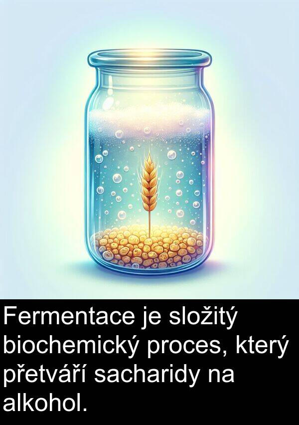 alkohol: Fermentace je složitý biochemický proces, který přetváří sacharidy na alkohol.