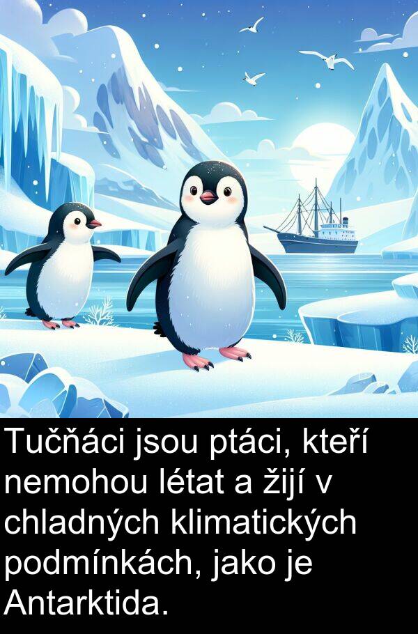 žijí: Tučňáci jsou ptáci, kteří nemohou létat a žijí v chladných klimatických podmínkách, jako je Antarktida.