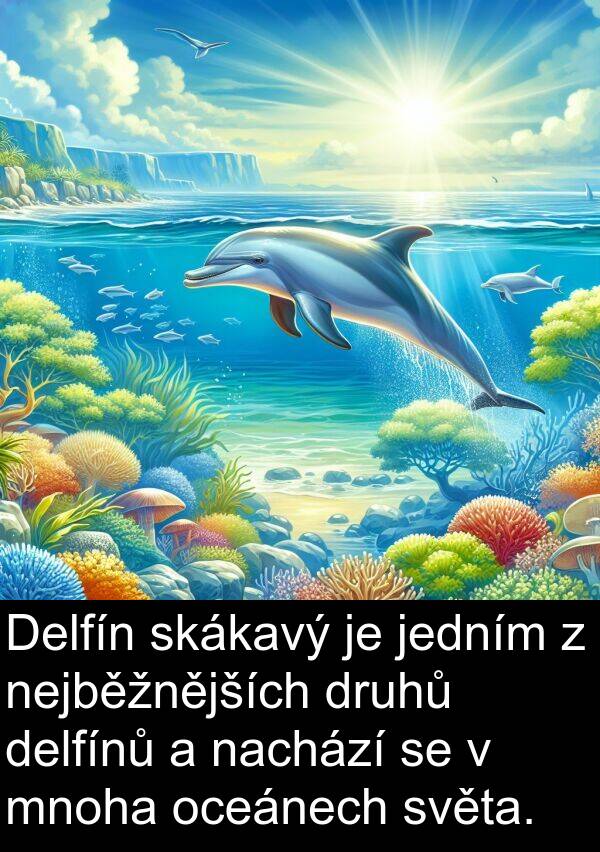 skákavý: Delfín skákavý je jedním z nejběžnějších druhů delfínů a nachází se v mnoha oceánech světa.