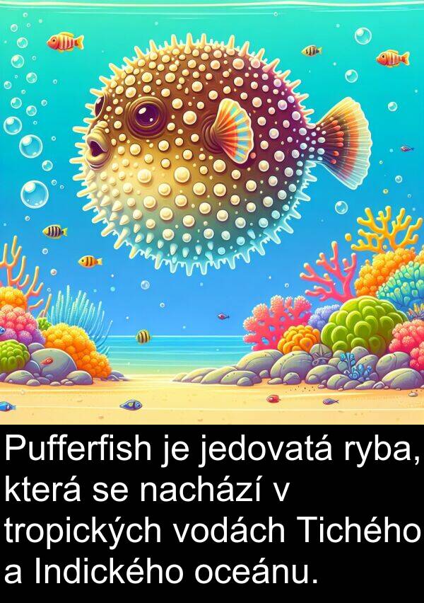 jedovatá: Pufferfish je jedovatá ryba, která se nachází v tropických vodách Tichého a Indického oceánu.