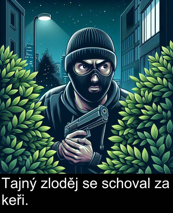 schoval: Tajný zloděj se schoval za keři.