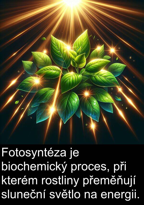 energii: Fotosyntéza je biochemický proces, při kterém rostliny přeměňují sluneční světlo na energii.