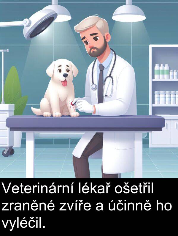 účinně: Veterinární lékař ošetřil zraněné zvíře a účinně ho vyléčil.