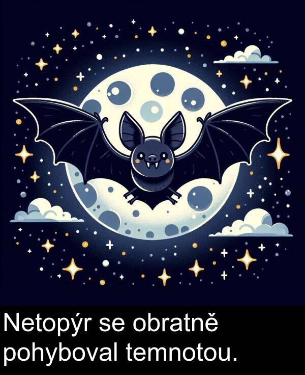 pohyboval: Netopýr se obratně pohyboval temnotou.