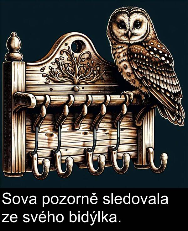 sledovala: Sova pozorně sledovala ze svého bidýlka.