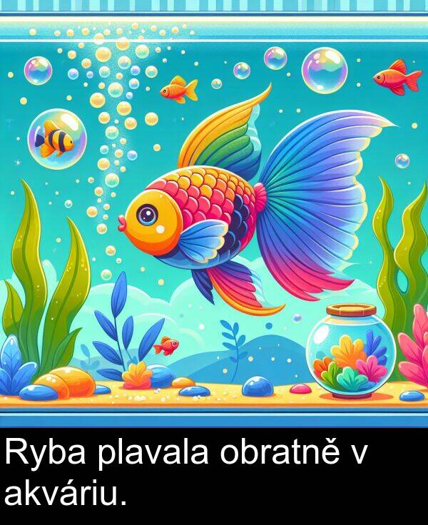 akváriu: Ryba plavala obratně v akváriu.
