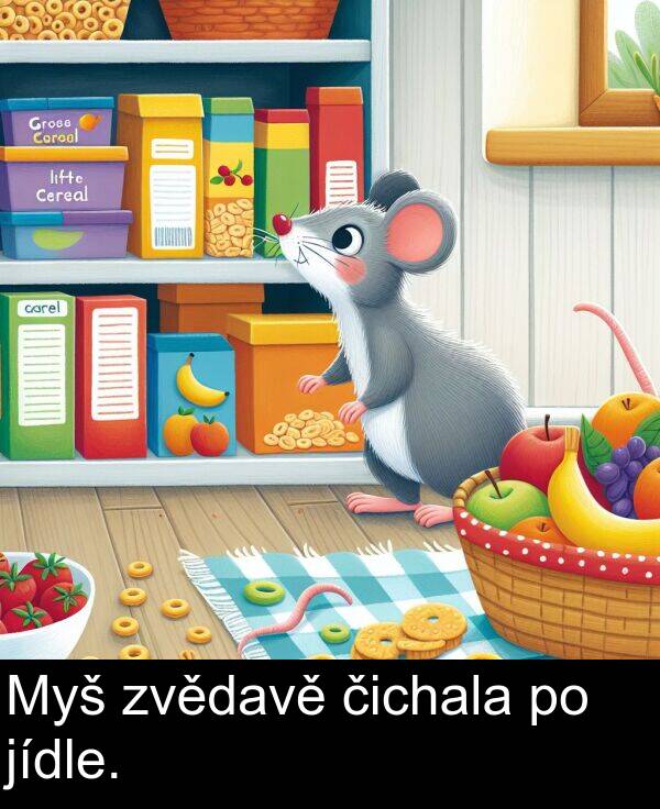 čichala: Myš zvědavě čichala po jídle.
