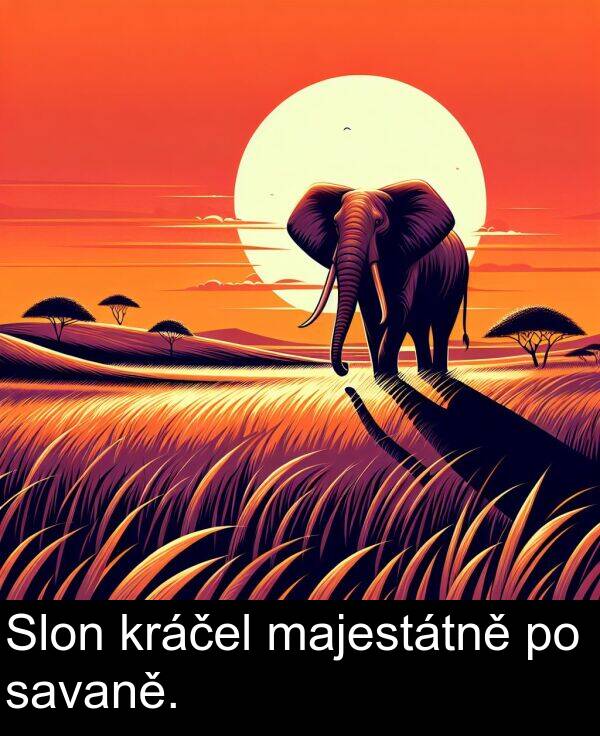 savaně: Slon kráčel majestátně po savaně.