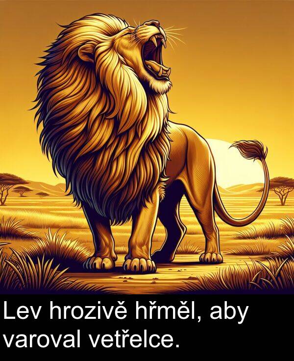 aby: Lev hrozivě hřměl, aby varoval vetřelce.