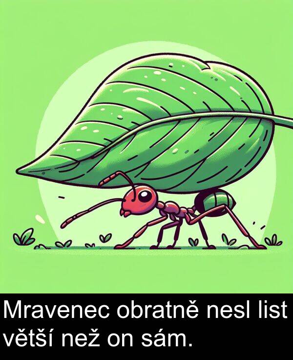sám: Mravenec obratně nesl list větší než on sám.