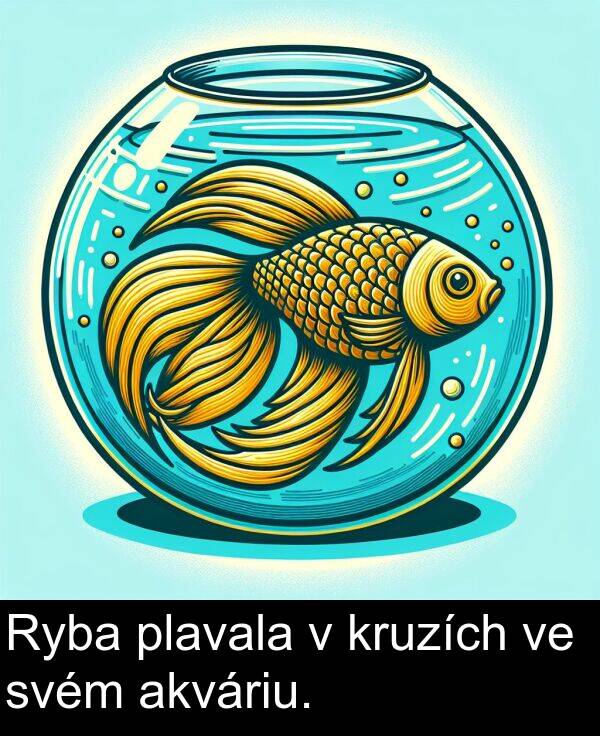 akváriu: Ryba plavala v kruzích ve svém akváriu.