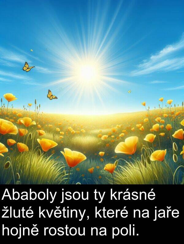 žluté: Ababoly jsou ty krásné žluté květiny, které na jaře hojně rostou na poli.