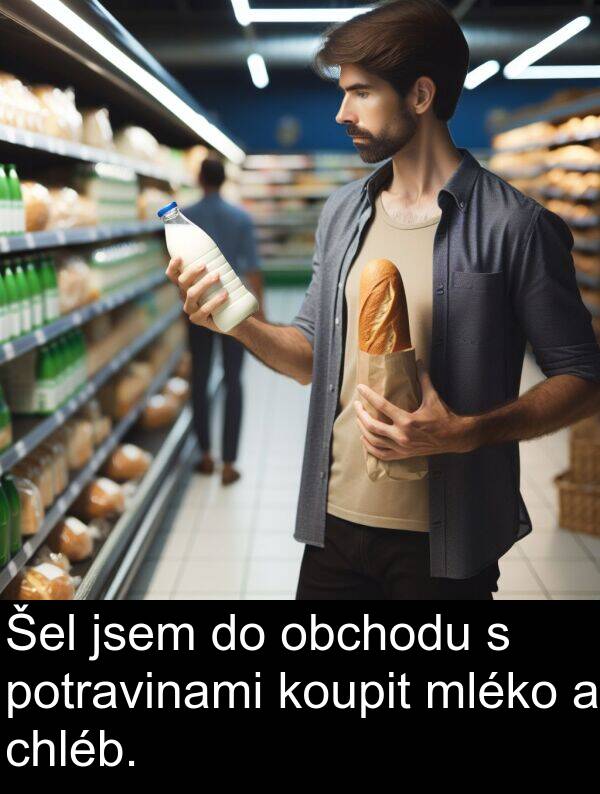 obchodu: Šel jsem do obchodu s potravinami koupit mléko a chléb.